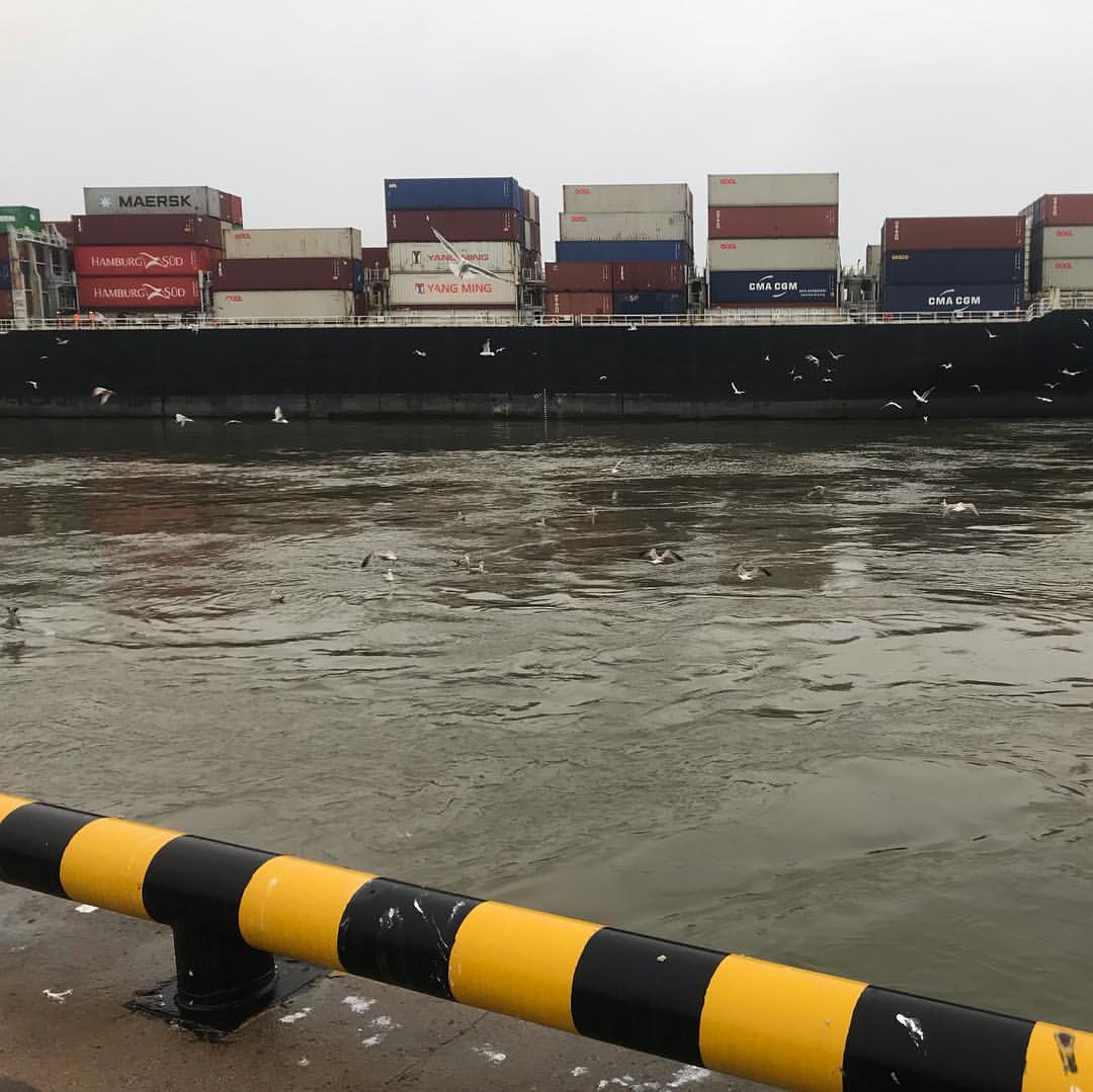merkovsergey в LOOKY — фото 8