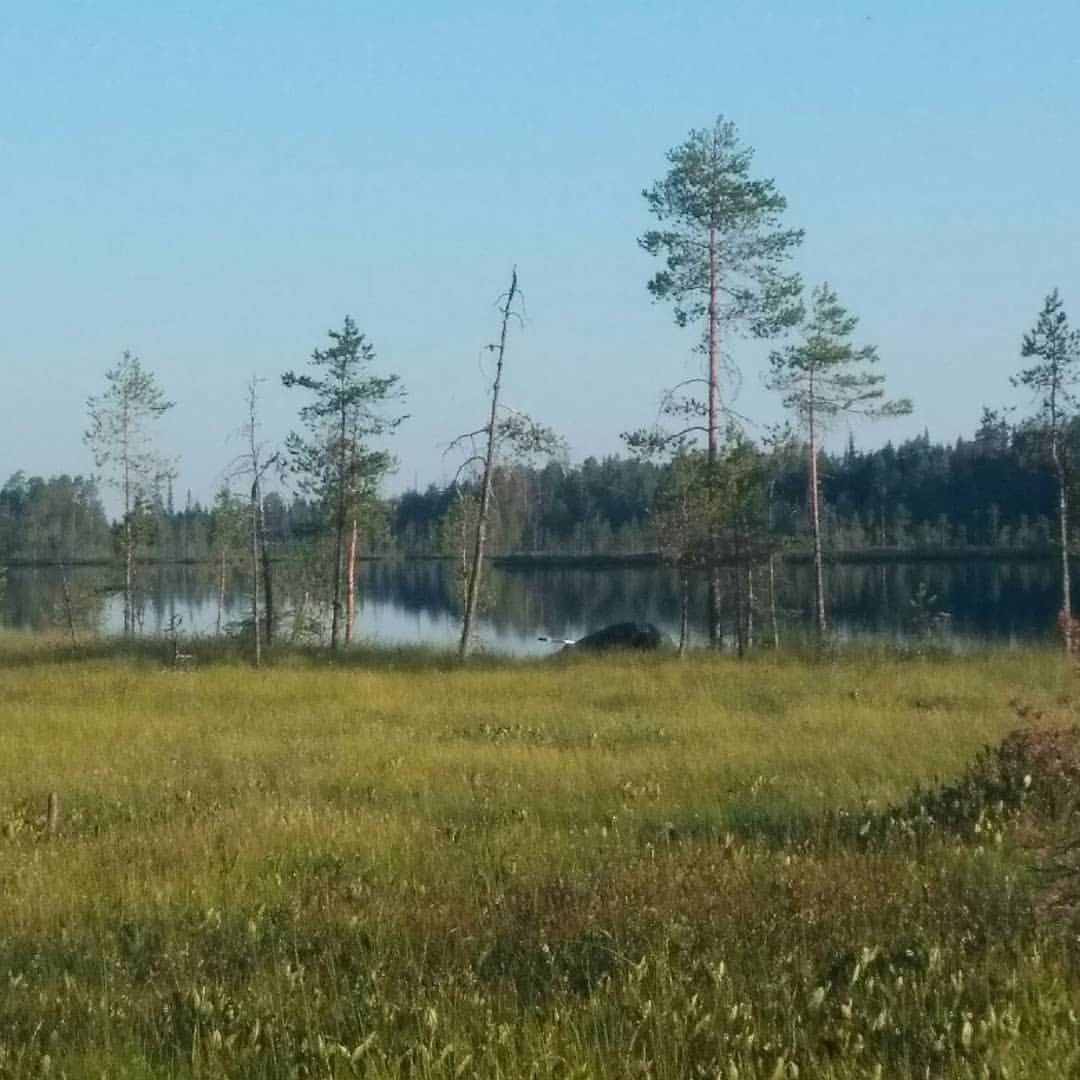 fishing.ideal в LOOKY — публикация