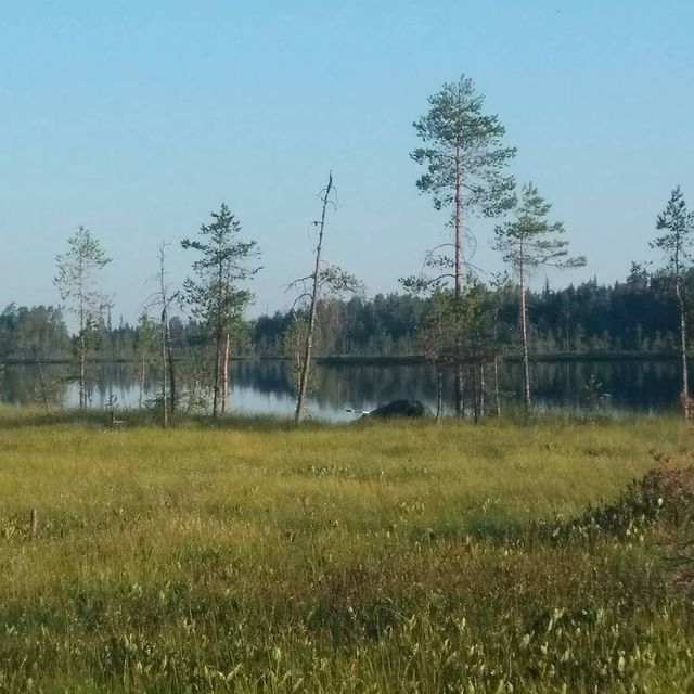 fishing.ideal в LOOKY. . null