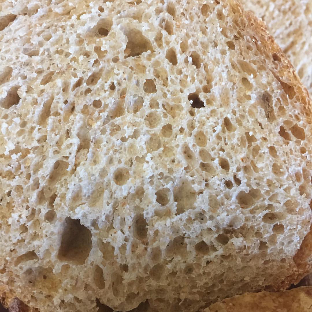 housebread45 в LOOKY — фото 4