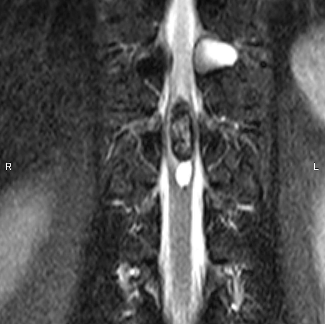 russianradiology в LOOKY — фото 3