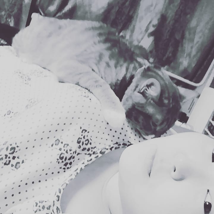 v_e_r_a_sleptsova in LOOKY. . Вот так мы спим кажд...