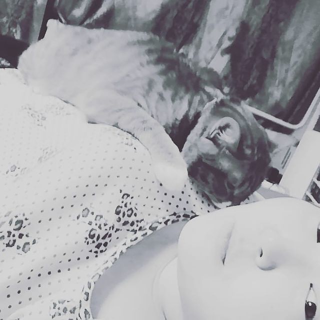 v_e_r_a_sleptsova в LOOKY. . Вот так мы спим кажд...