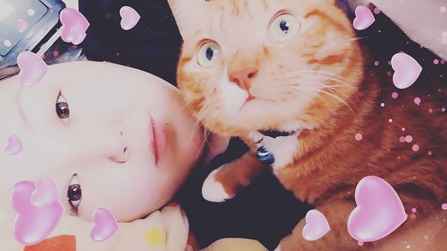 v_e_r_a_sleptsova в LOOKY. . Кот Томас😍обожаю ег...