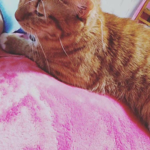 v_e_r_a_sleptsova в LOOKY. . Ясикрк😍😚#сладкиймо...