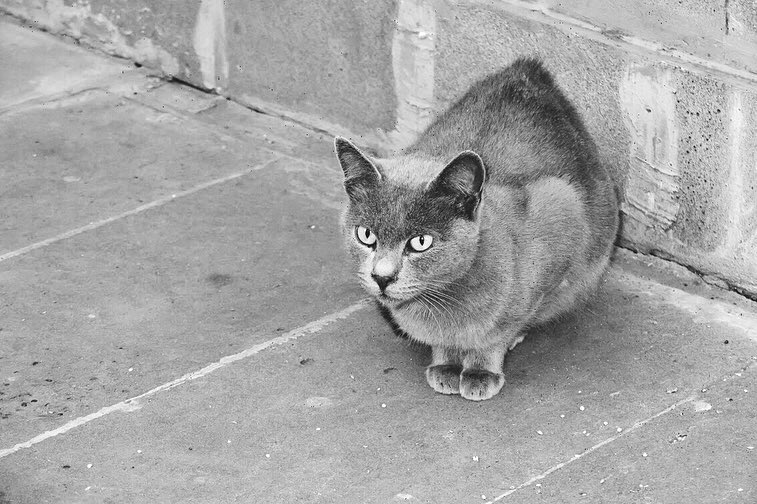 darkandnoirmood в LOOKY — фото 3