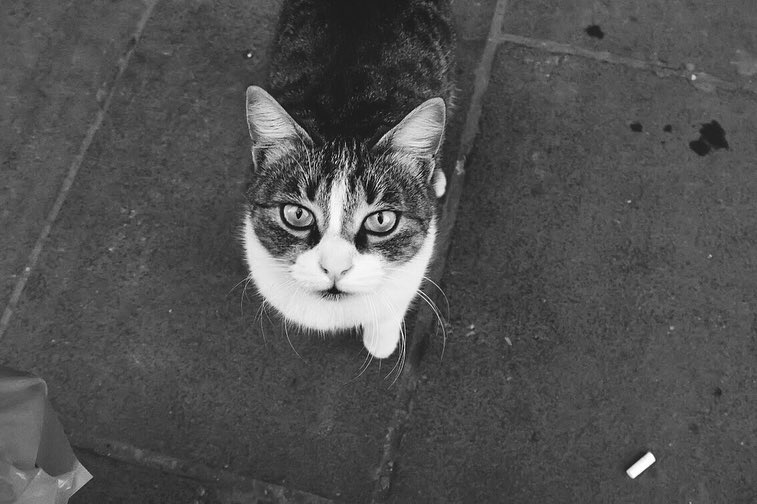 darkandnoirmood в LOOKY — фото 4