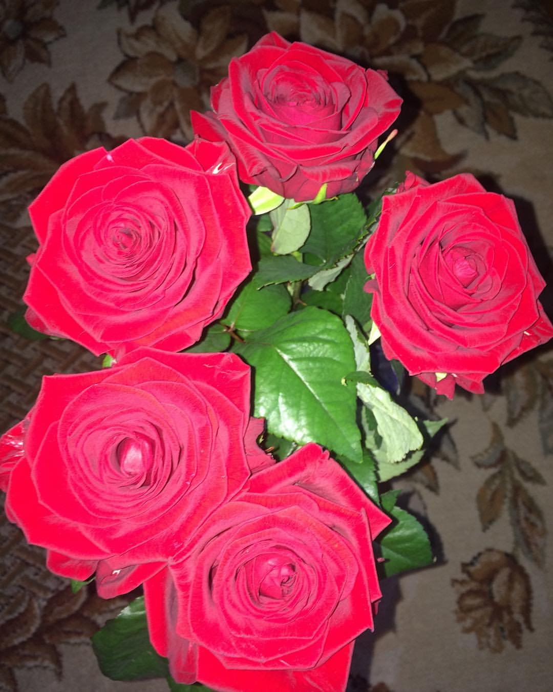 masyanya_mur_ в LOOKY — #приятности#мимими#цветочки#💐
