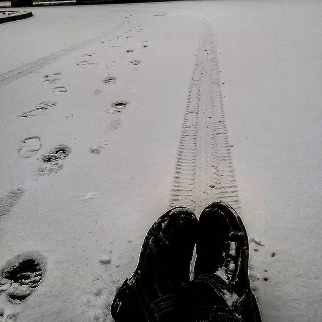 kim_ji_yn в LOOKY. . 🐾❄️🐾