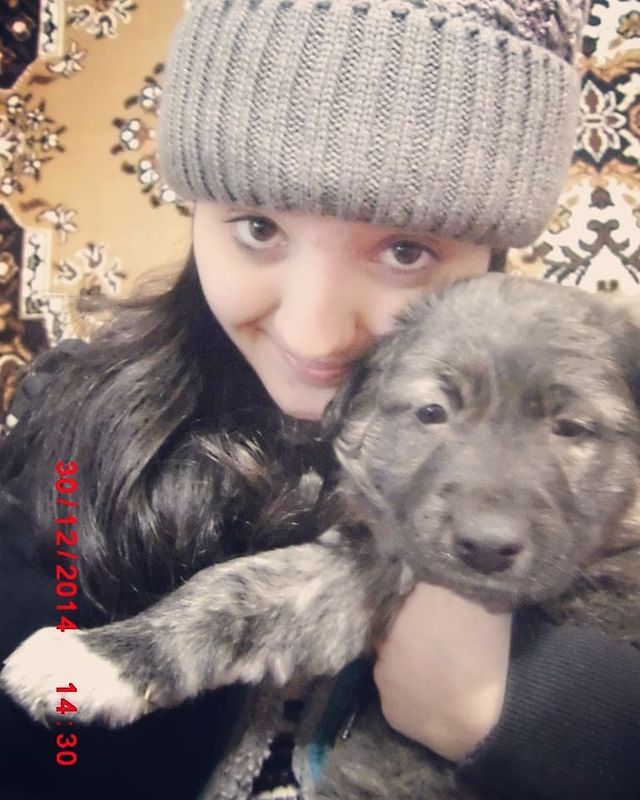 liaray96 в LOOKY. #happybirthday,#сднемрождения,#великолепный,#красавчик,#моечудо,#милашка,#граф,#люблюего,#чудик,#малыш,#лучшийдругчеловека🐶,#лучший,#собаки,#хвостик,#сднёмрождения,#4года,#красавчик,#зайчик,#happybirthday. С Днём Рождения, Бар...