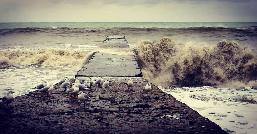 nikzhosu в LOOKY — Зимнее море порой прекраснее, чем летнее 🌊🌊🌊🤗
Та сила и 