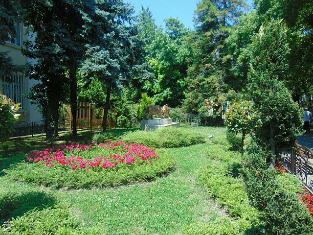 sorokinairinaval17 в LOOKY. . null