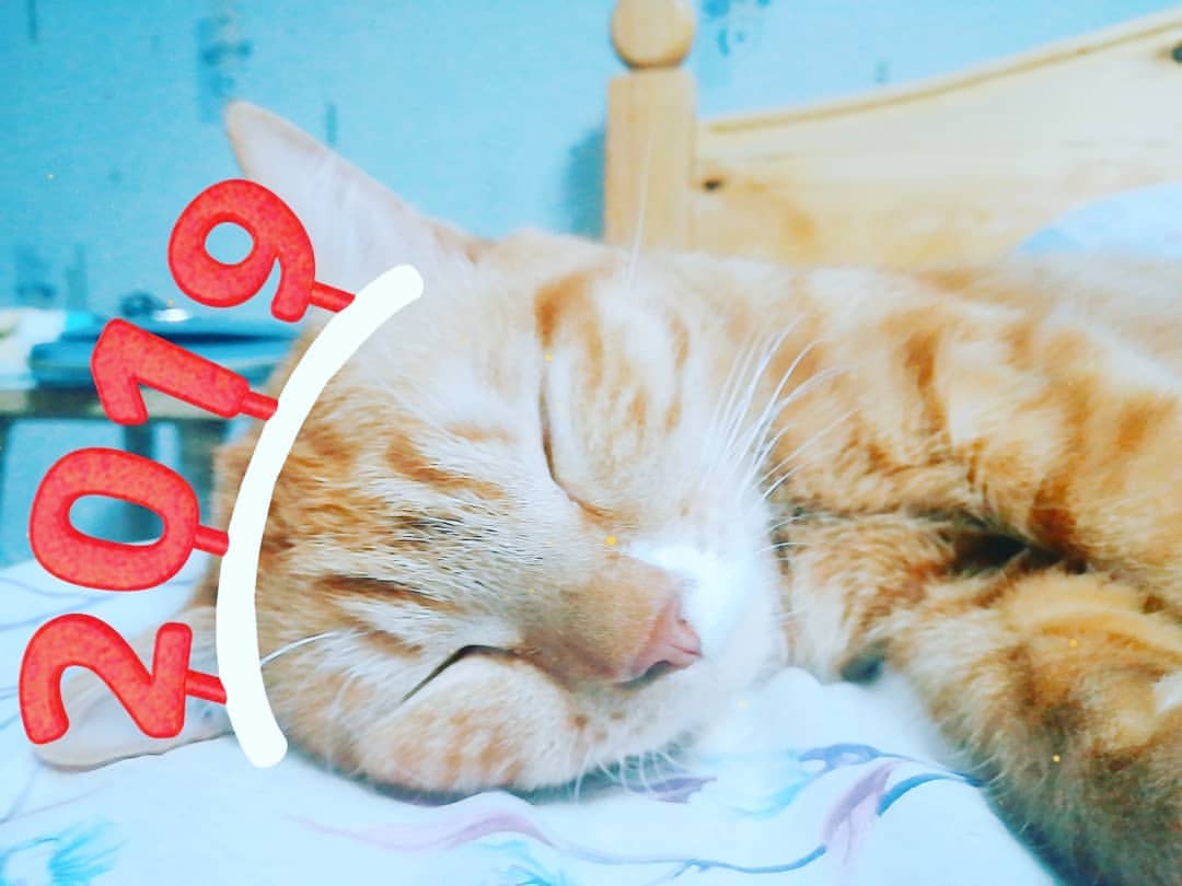 v_e_r_a_sleptsova in LOOKY. #сладкиймойкоттомас. #сладкиймойкоттомас