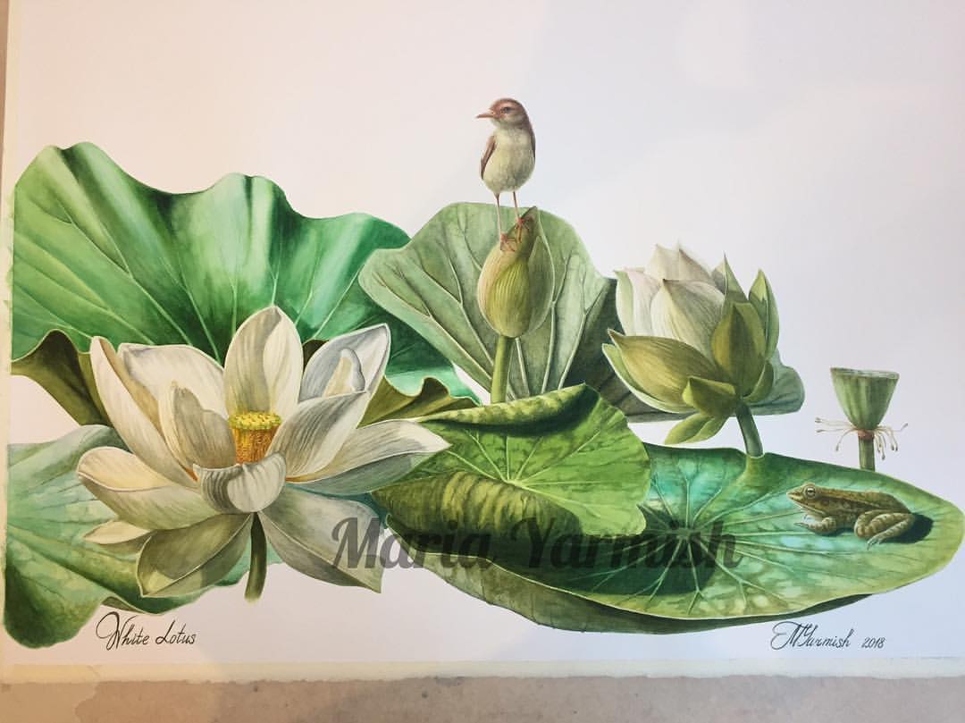 mariayarmish_botanicalart в LOOKY — Ура! Закончила))) какое счастье))) самые захватывающие момен
