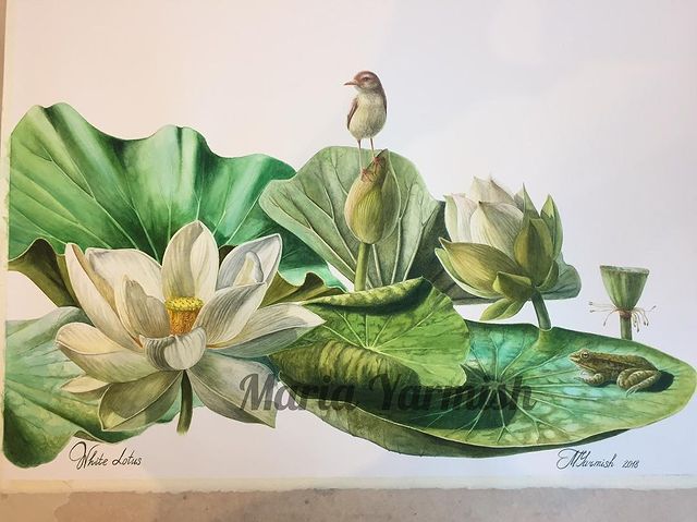 mariayarmish_botanicalart в LOOKY. . Ура! Закончила))) ка...