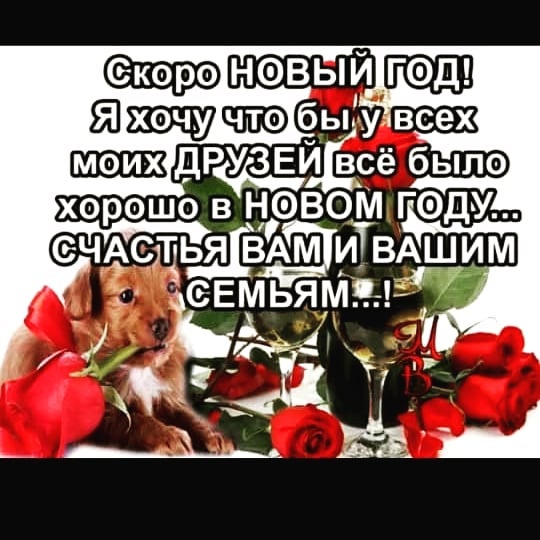 tigra6261 в LOOKY — С наступающим 2019 годом!!!