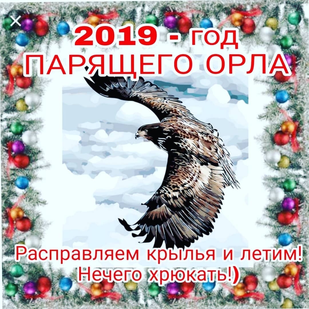vyacheslav_kobets в LOOKY. #Школалидерства,#Школаменеджера,#Развитие,#Упорство,#Настойчивость,#Бизнес,#ЯМенеджер,#ЖизньТакая,#Багира,#ЛучшаяКомпания,#ДеньгиДелаютДеньги,#Успех,#ЗдоровоЖить. #Школалидерства #Шко...