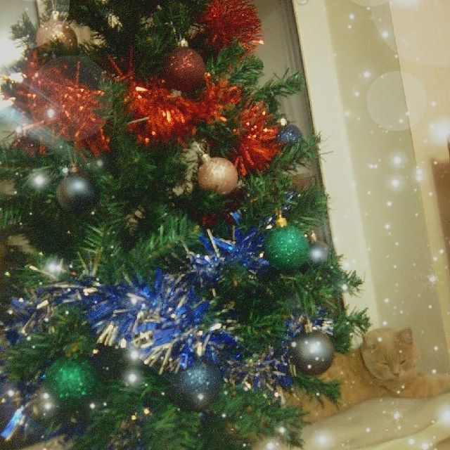 steepkardi в LOOKY. . null