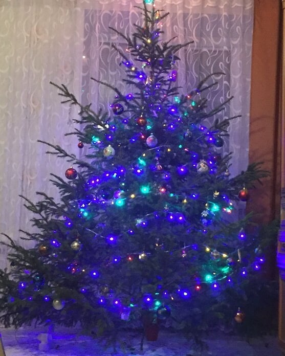 elenabelleza в LOOKY. . 🎄🤩🎉🐽