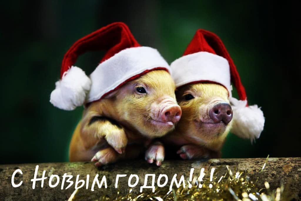 dennis_hdd в LOOKY. #счастья,#2019. Пусть в новом году в...