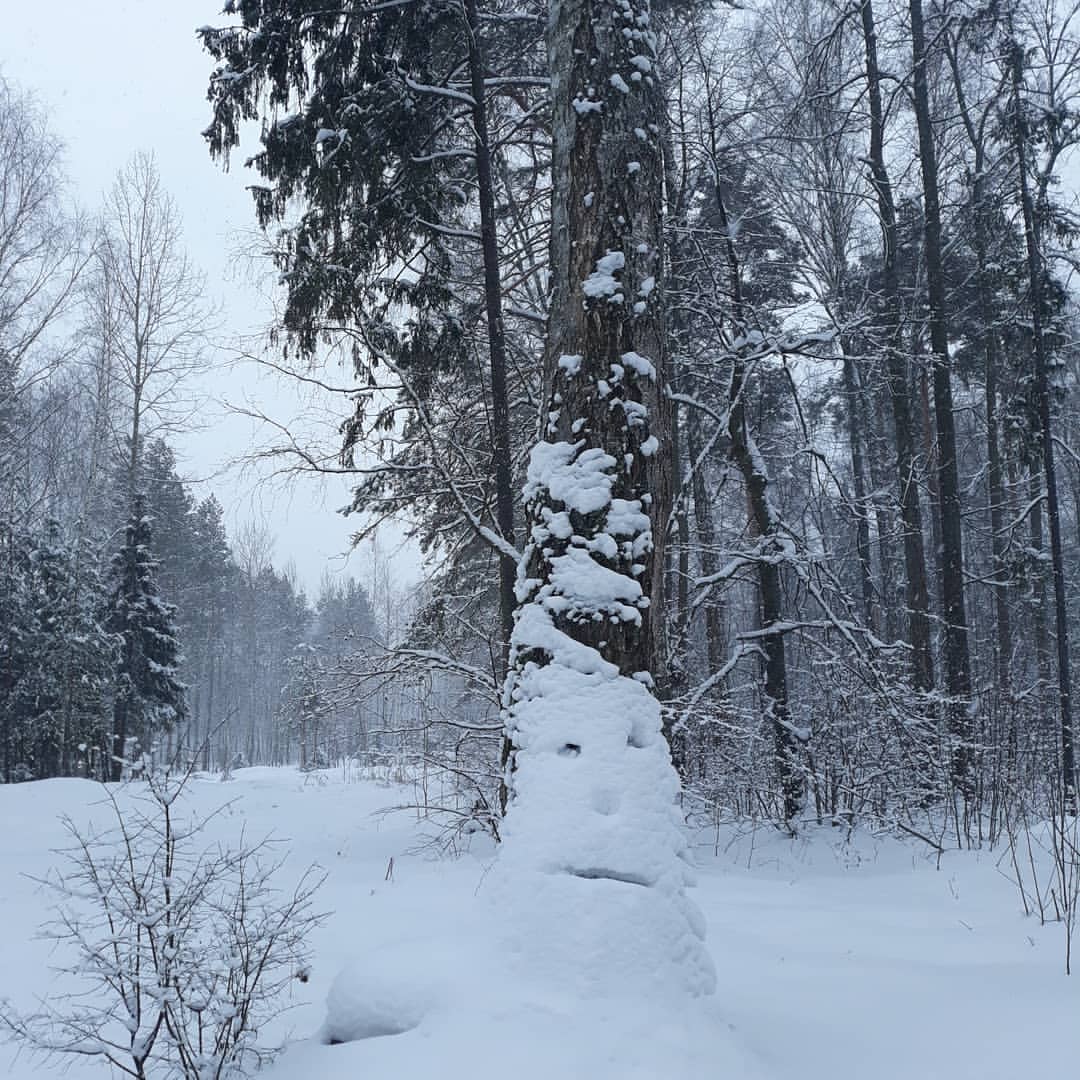 Провожаем #старый #год на лыжах! Движение #жизнь! #нн #ннов #nn  #nnov