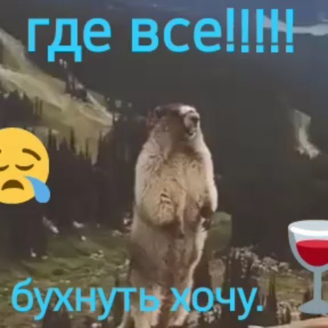 shamanovadasha в LOOKY. . 😁