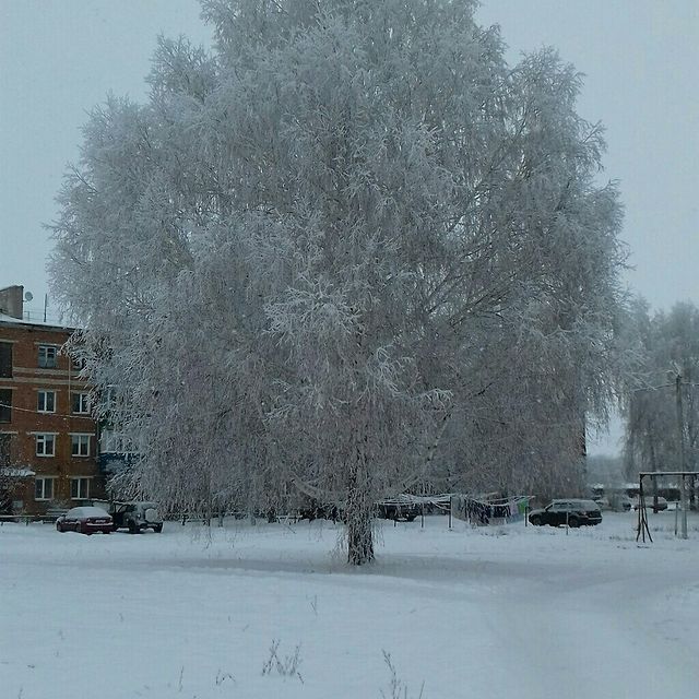 sorokinairinaval17 в LOOKY. . null