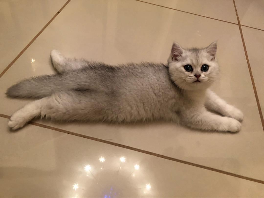 evgenya_dud в LOOKY — публикация