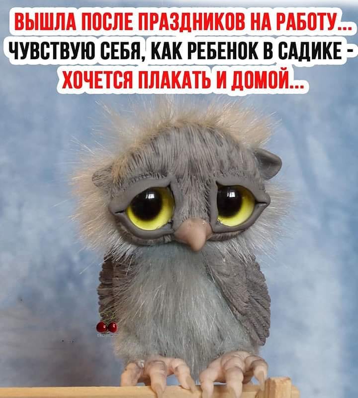 efimovaagent1 в LOOKY — 😄😄