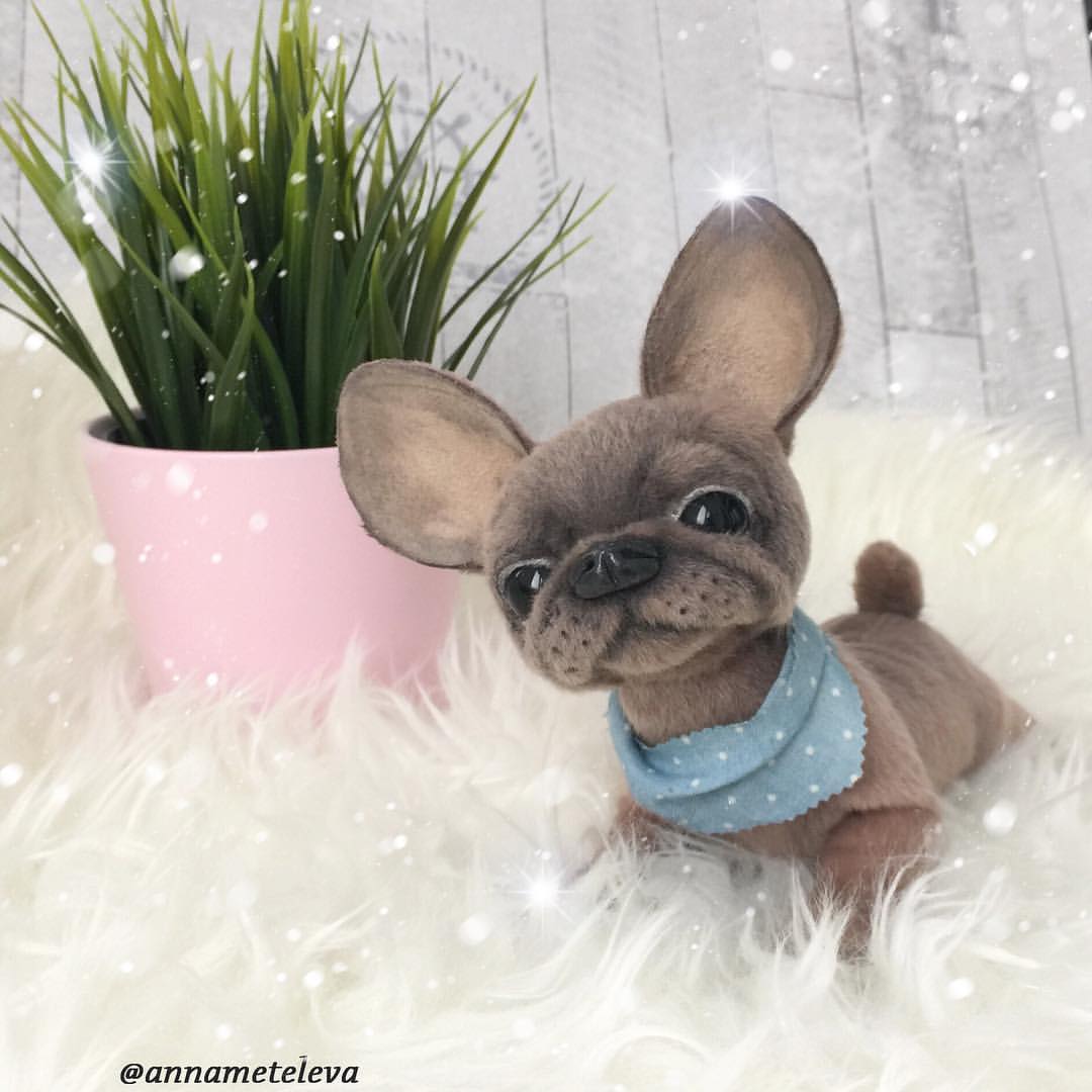 annameteleva в LOOKY — Собачки меня затянули полностью
⠀
💖🐕💖
⠀
Рада представить 