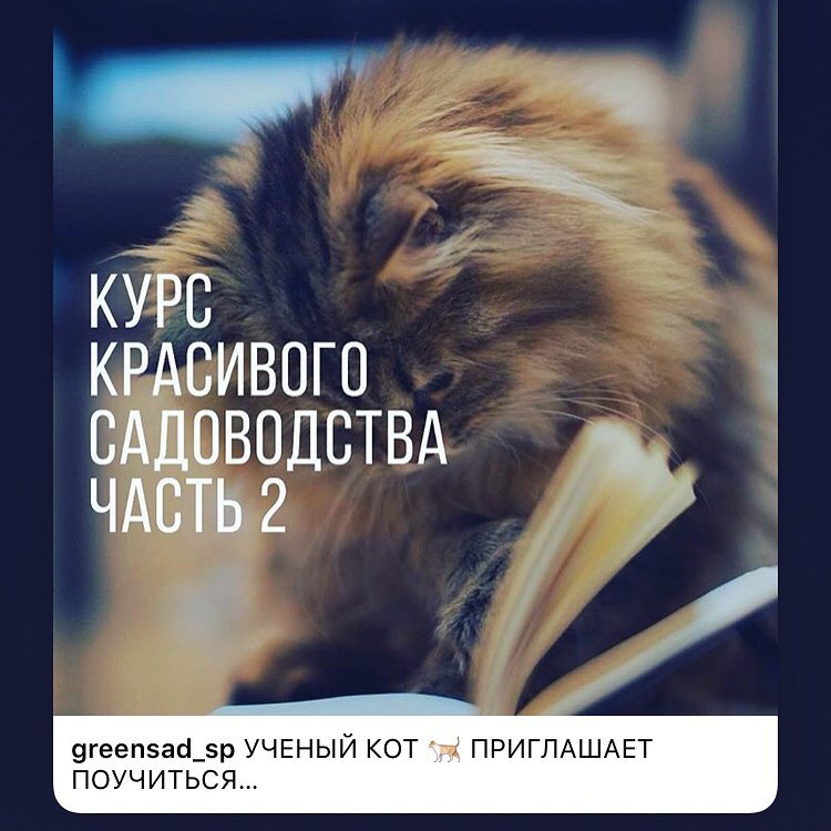 zaets_natalia в LOOKY. #курскрасивогосадоводства. Приглашаю со мной на...