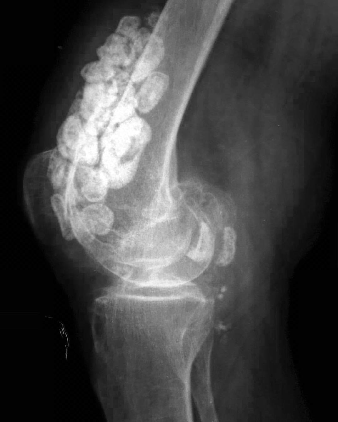 russianradiology в LOOKY — фото 2