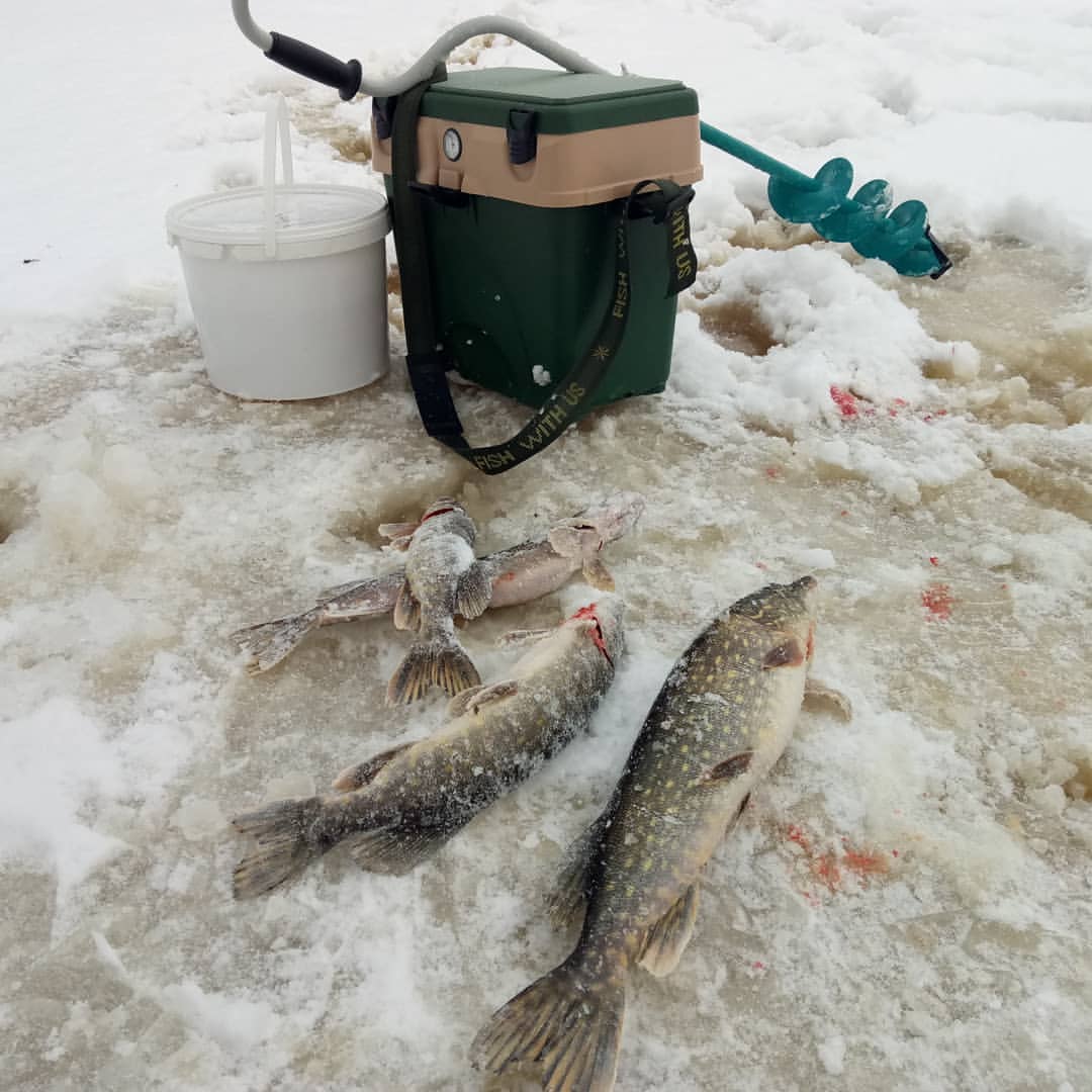 fishing.ideal в LOOKY — #рыбалка
