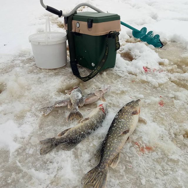 fishing.ideal в LOOKY. #рыбалка. #рыбалка