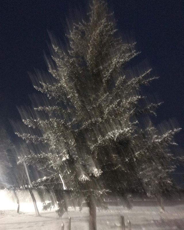 mariaegorrova в LOOKY. #wintermood. #wintermood 🙃