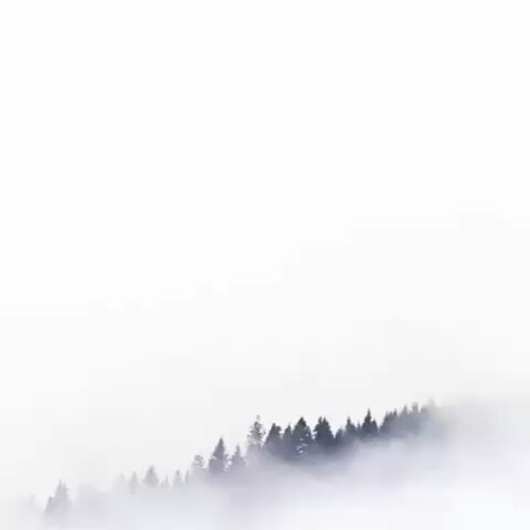 meheele_ в LOOKY. . null
