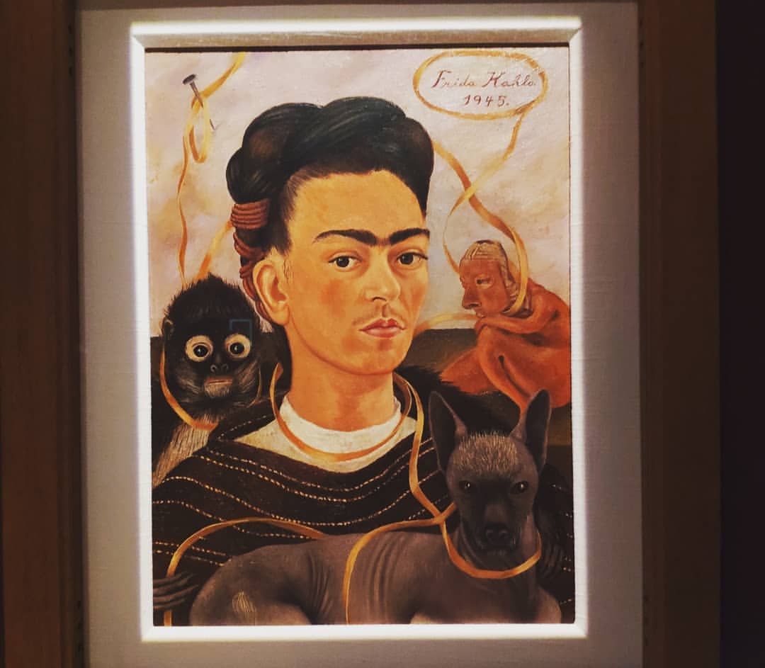 epic_olka в LOOKY — фото 2