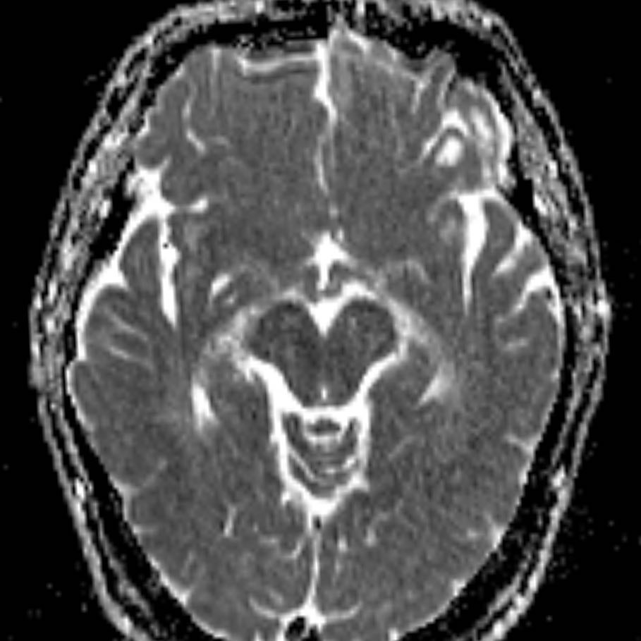 russianradiology в LOOKY — фото 7