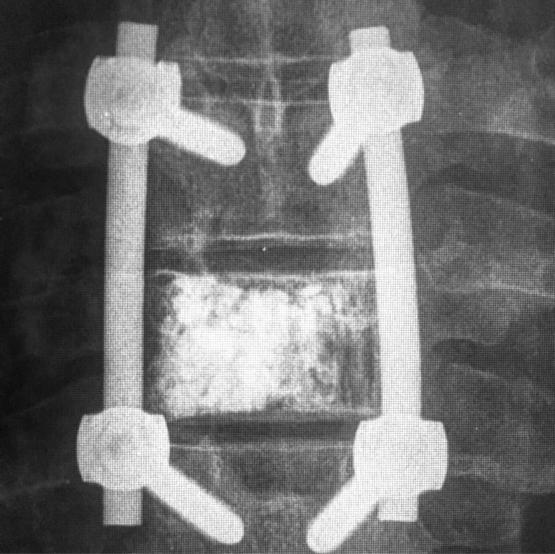 russianradiology в LOOKY — фото 3