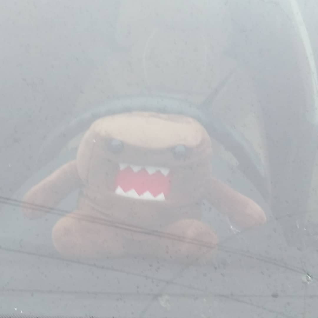 hut_beaver в LOOKY. . null
