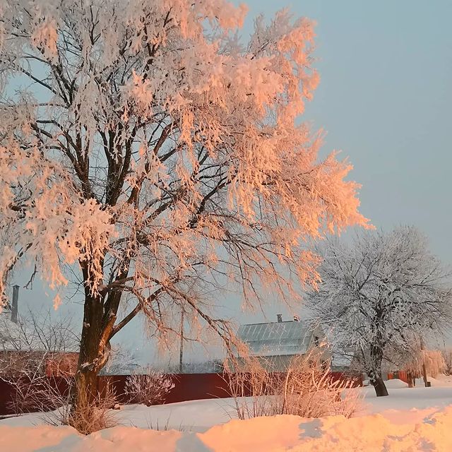 _alenochka_karaseva_ в LOOKY. . —Чем пахнет зима? —Ч...