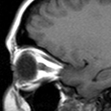russianradiology в LOOKY — фото 9