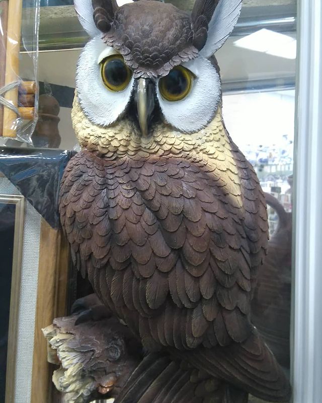 kim_ji_yn в LOOKY. . eagle owl