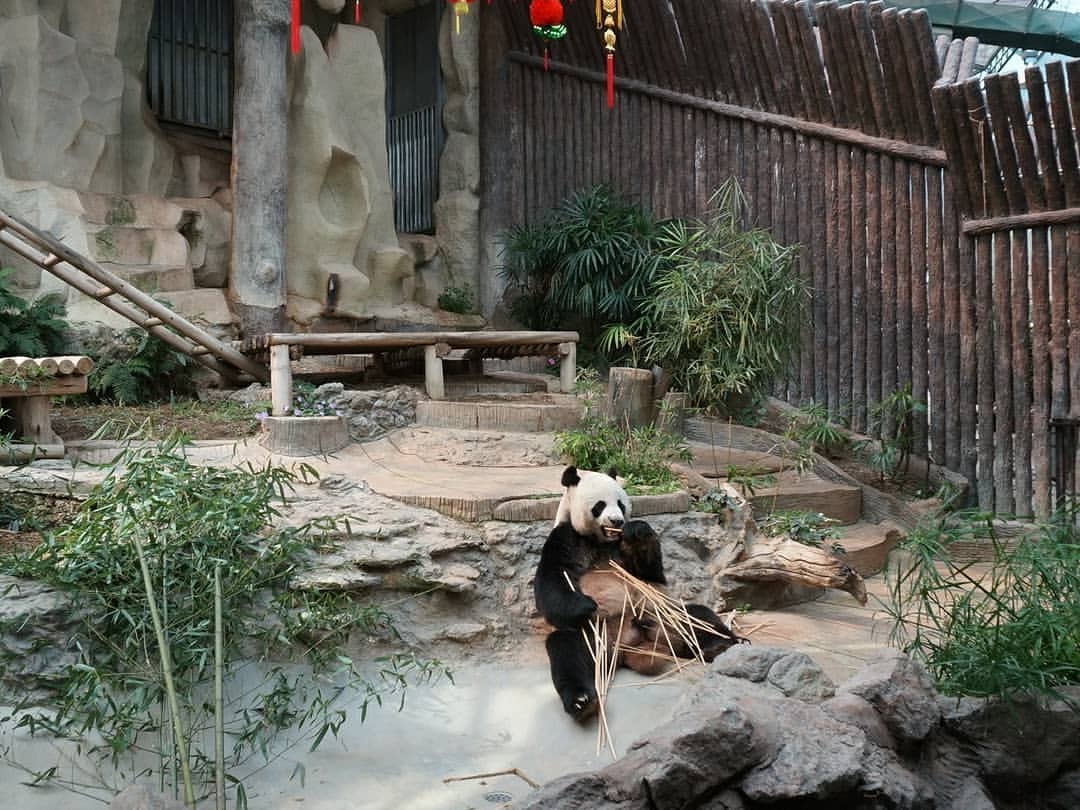 vikentii_ в LOOKY — фото 8