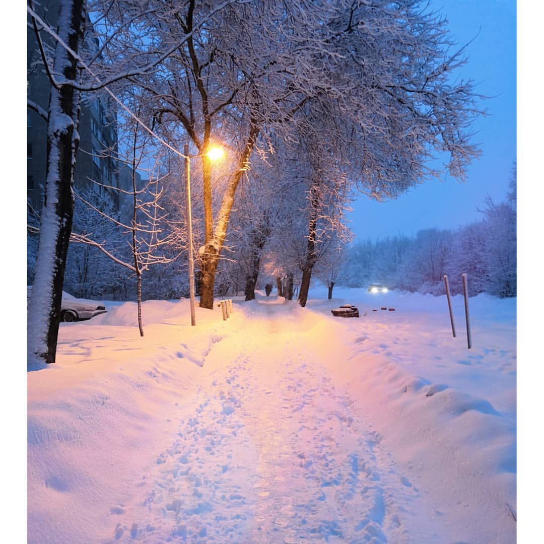 vldislav3 в LOOKY — ❄️