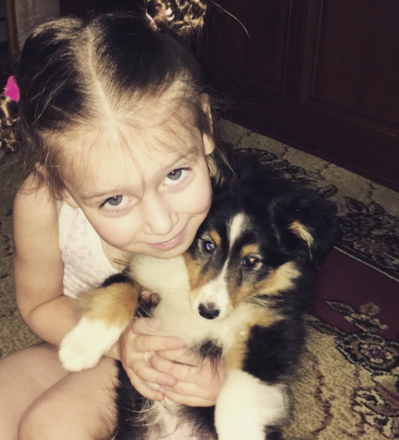 petrushina_n_child в LOOKY — ❤️🐶#мояЛеночка #шелти #Нюанс #любовьдружба