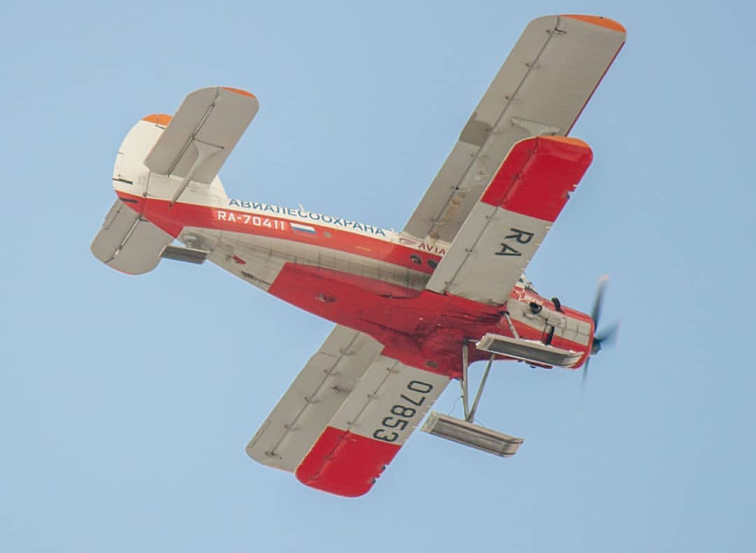 ulpbspot в LOOKY — фото 4