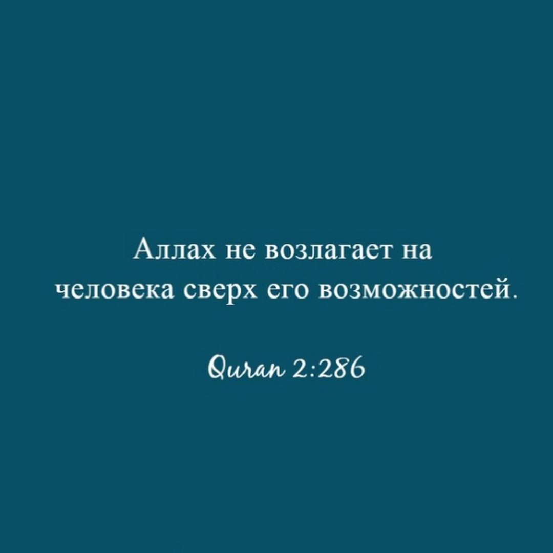 Баракатного дня вам ☀️