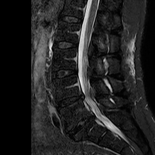 russianradiology в LOOKY — фото 3