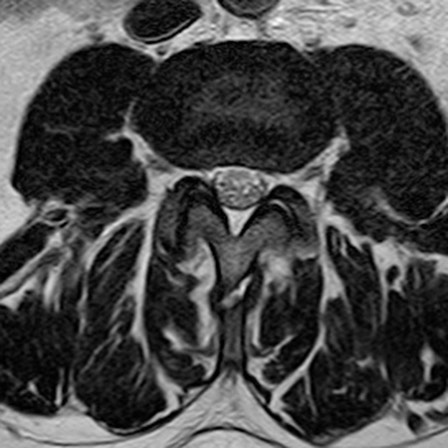 russianradiology в LOOKY — фото 6